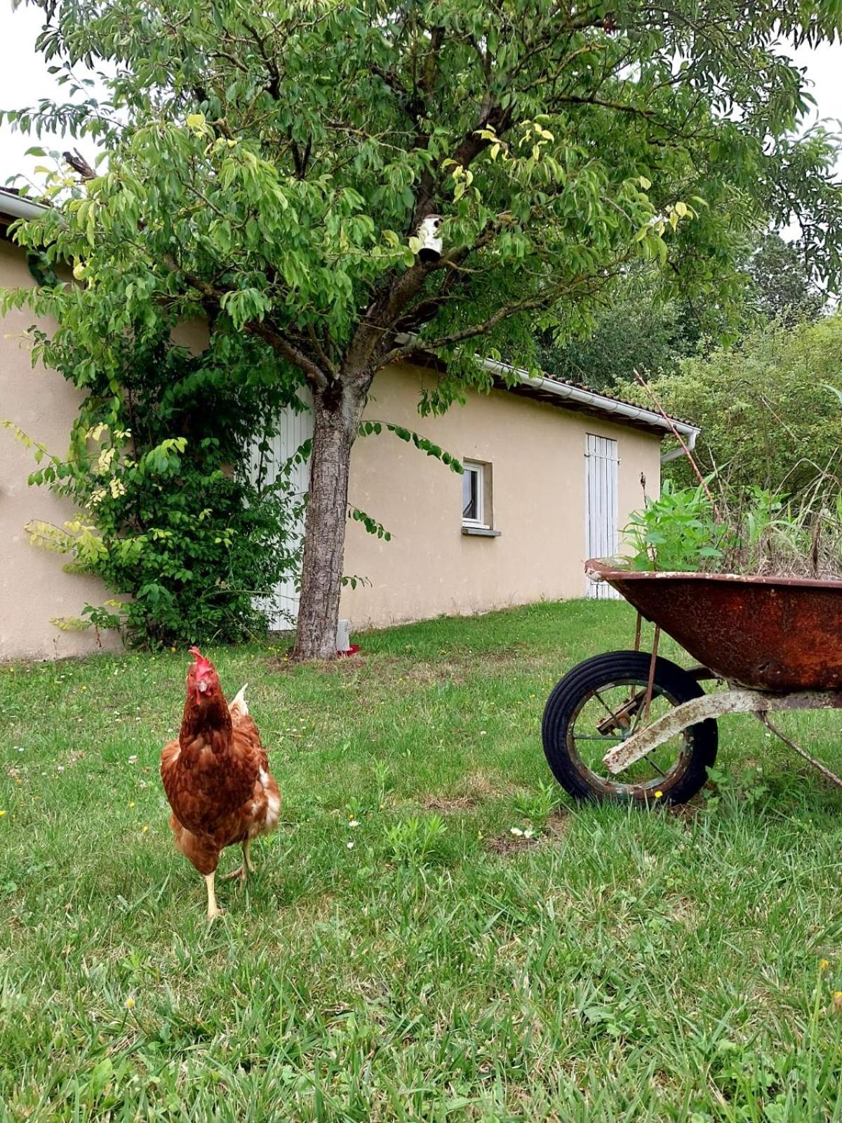 Au Chant Du Coq Holiday home *